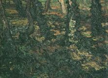 Haga click para ver la imagen ampliada 1889 troncs et lierre.jpg
